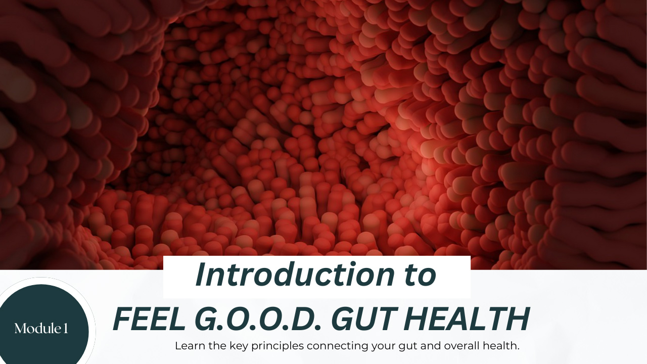 Feel Good, Gut Health