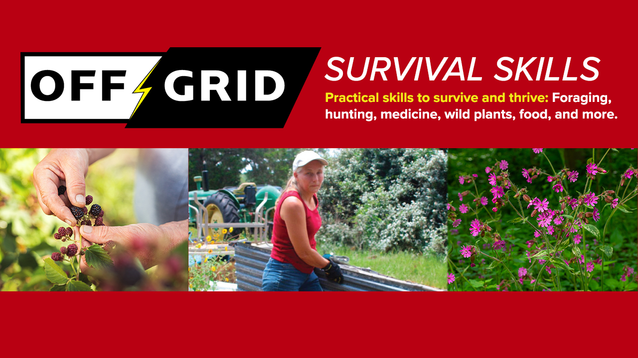 Off Grid Survival Skills